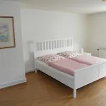 Altstadthaus Apartment